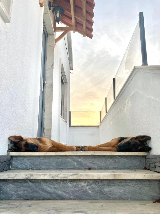 Toca Do Lobo Apartman Charneca  Kültér fotó